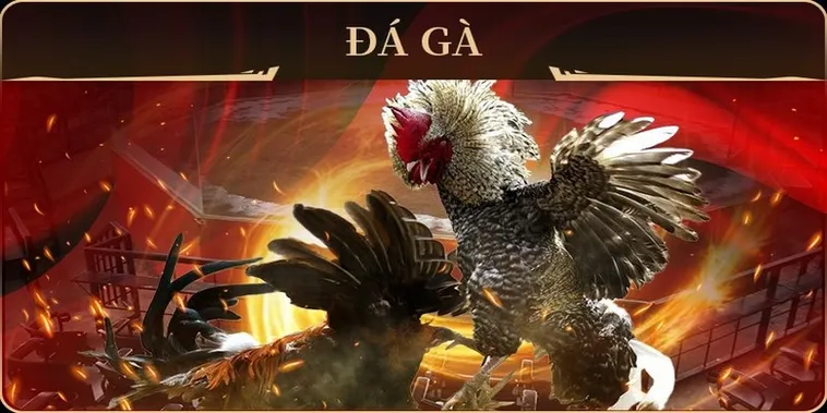 Hé Lộ Cách Chơi Đá Gà GA28 Tại 88VV Luôn Thắng Từ Chuyên Gia 2 Hé Lộ Cách Chơi Đá Gà GA28 Tại 88VV Luôn Thắng Từ Chuyên Gia