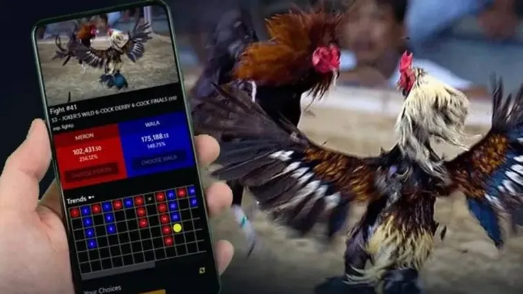 Đá Gà 88VV Hé Lộ Bí Kíp Thắng Lớn Từ Các Cao Thủ